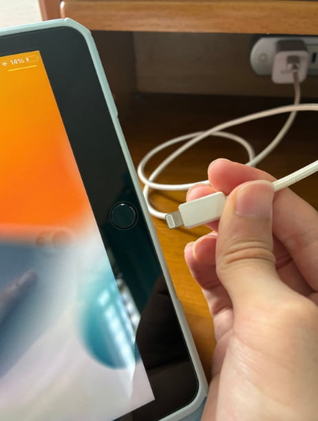 iPad ライトニング